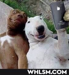 funny, awesome