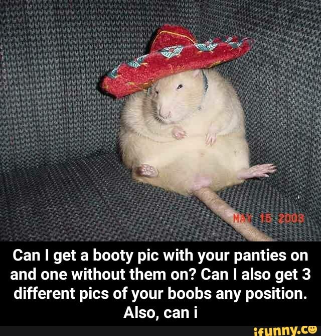 Can I get a booty pic with your panties on
and one without them on? Can I also get 3
different pics of your boobs any position.
Also, can i - Can I get a booty pic with your panties on and one without them on? Can I also get 3 different pics of your boobs any position. Also, can i