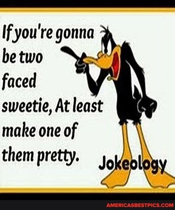 If you're gonna be two faced sweetie, At least make one of them pretty. -  