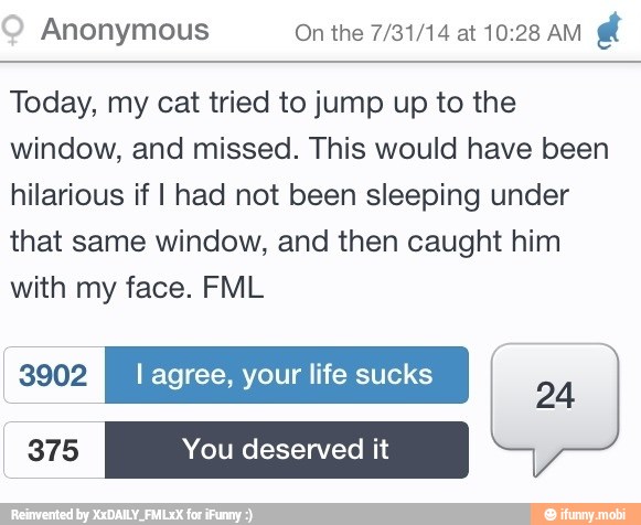 Today, my cat tried to jump up to the
window, and missed. This would have been
hilarious if I had not been sleeping under
that same window, and then caught him
with my face. FML
KZ I life sucks