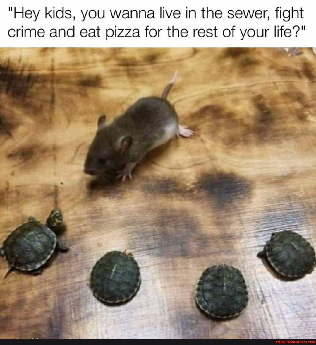 "Hey kids, you wanna live in the sewer, fight crime and eat pizza for the rest of your life?"
AN