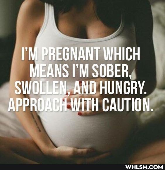 PREGNANT WHICH MEANS I'M SOBER,
SWOLLEN, AND HUNGRY.
APPROACH WITH CAUTION.