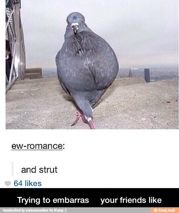 ew-romance:
Trying to embarras your friends like - Trying to embarras your friends like