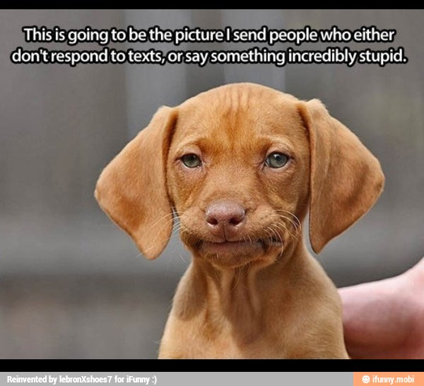 This is going to be the picture I send people who either,
don't respond to texts, or. say something incredibly stupid: