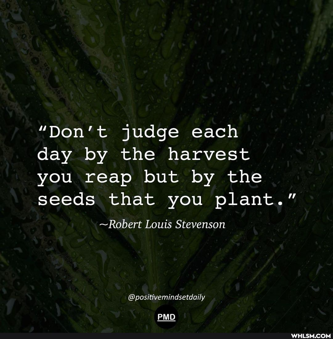 "Don't judge each
day by the harvest
you reap but by the seeds that you plant."
~Robert Louis Stevenson
@positivemindsetdaily
PMD