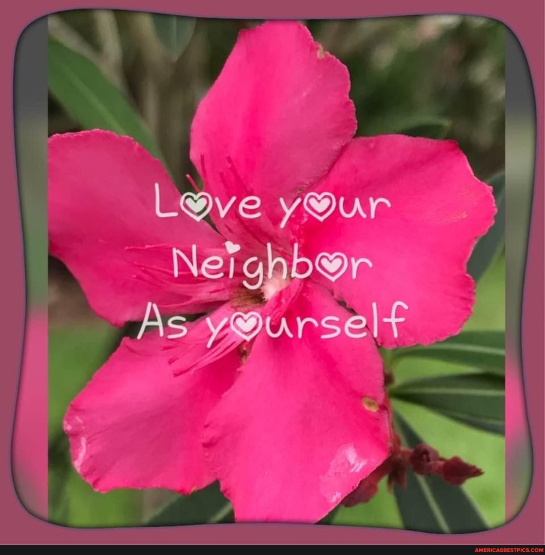 your
Neighbor
As ursel+