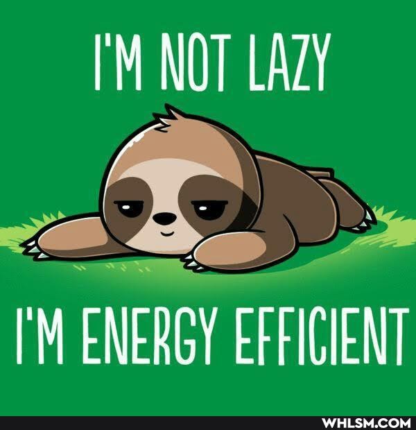 I'M NOT LAZY
ENERGY EFFICIENT