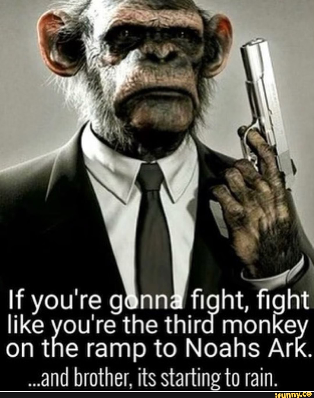 If you're the fight, third mo fight like you're the third monke on the ramp to Noahs Ark.
and brother, its starting to rain.