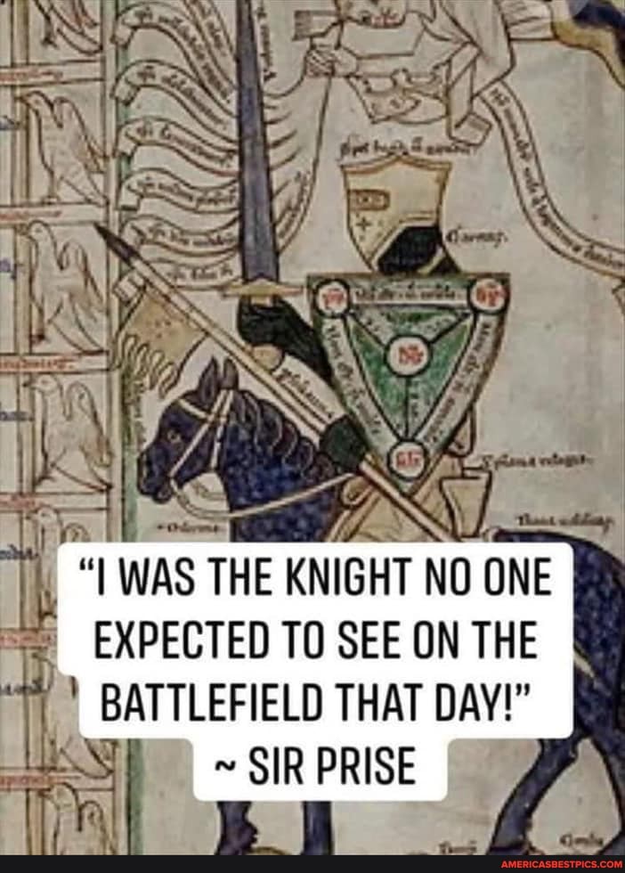 lg
"I WAS THE KNIGHT NO ONE EXPECTED TO SEE ON THE BATTLEFIELD THAT DAY!"
~ SIR PRISE