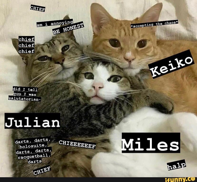 Racquetball memes. Best Collection of funny Racquetball pictures on iFunny