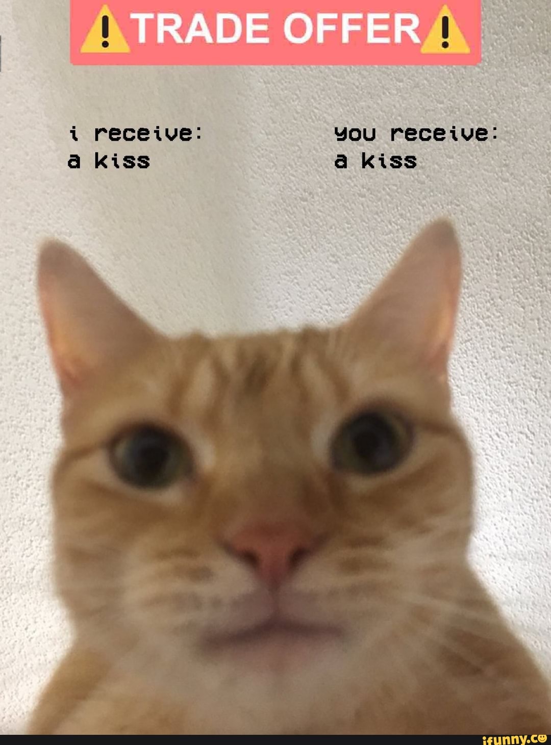 TRADE OFFER
i receive: you receive: a kiss kiss