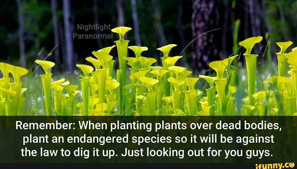 Remember When planting plants over dead bodies, plant an endangered