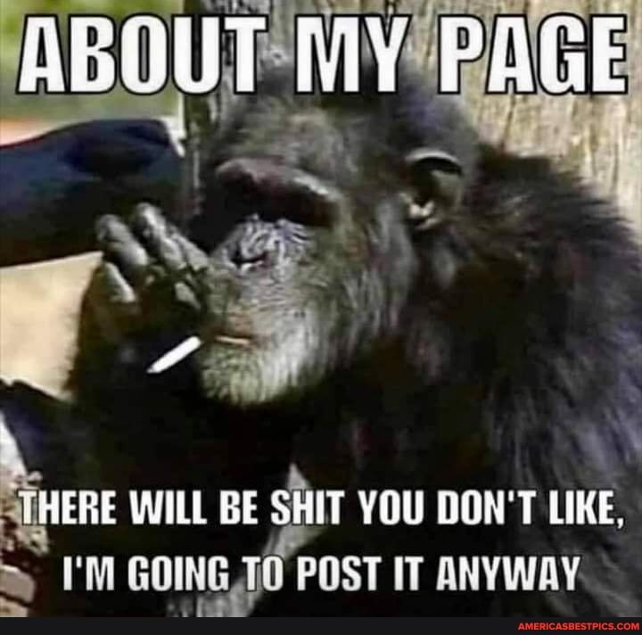 ABUT NY PALE
HERE WILL BE SHIT YOU DON'T LIKE,
I'M GOING 10 POST IT ANYWAY