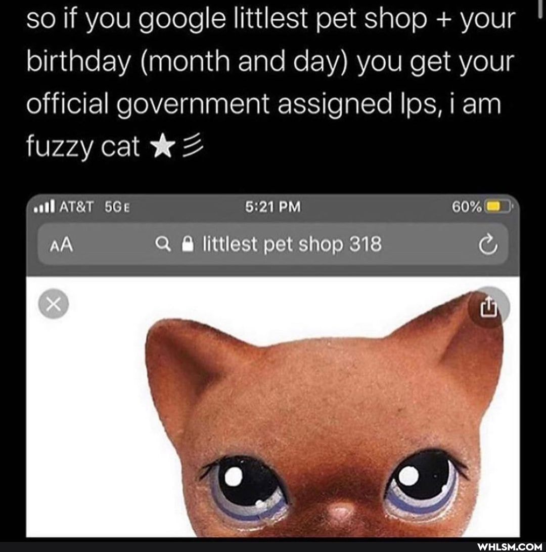 so if you google littlest pet shop + your birthday (month and day) you get your official government assigned Ips, iam fuzzy cat
60%
PM
aA Q @ littlest pet shop 318
