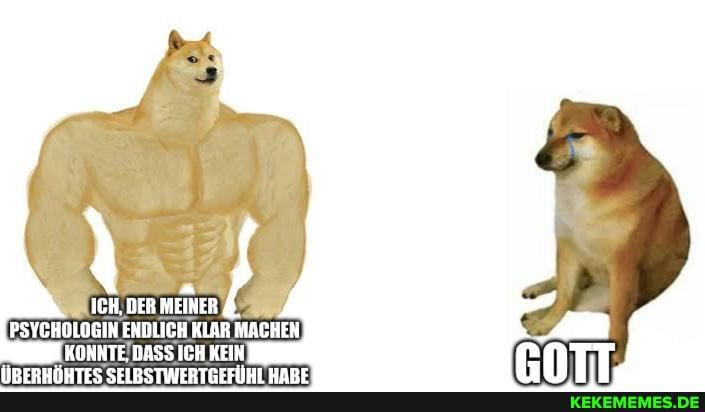 ICH, DER MEINER
PSYCHOLOGIN ENDLICH KLAR MACHEN KONNTE DASS ICH KEIN