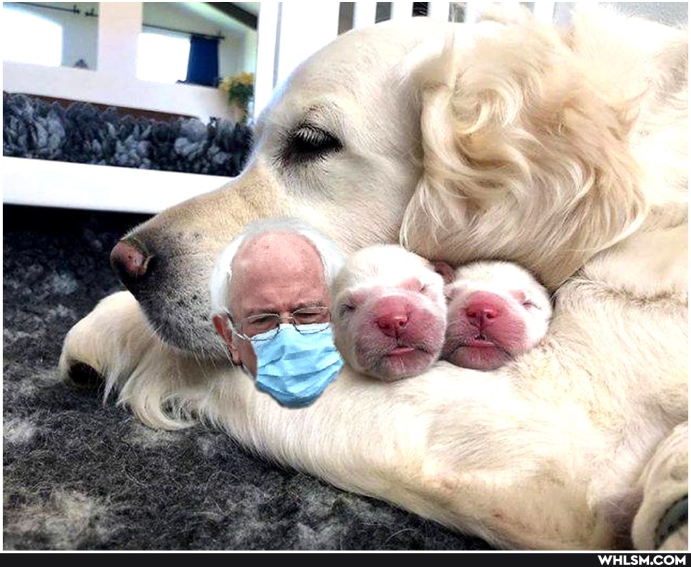funny, mildly_interesting, cool, bernie_sanders