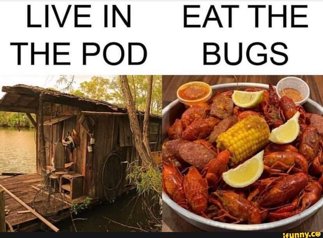 live-in-eat-the-the-pod-bugs-seo-title