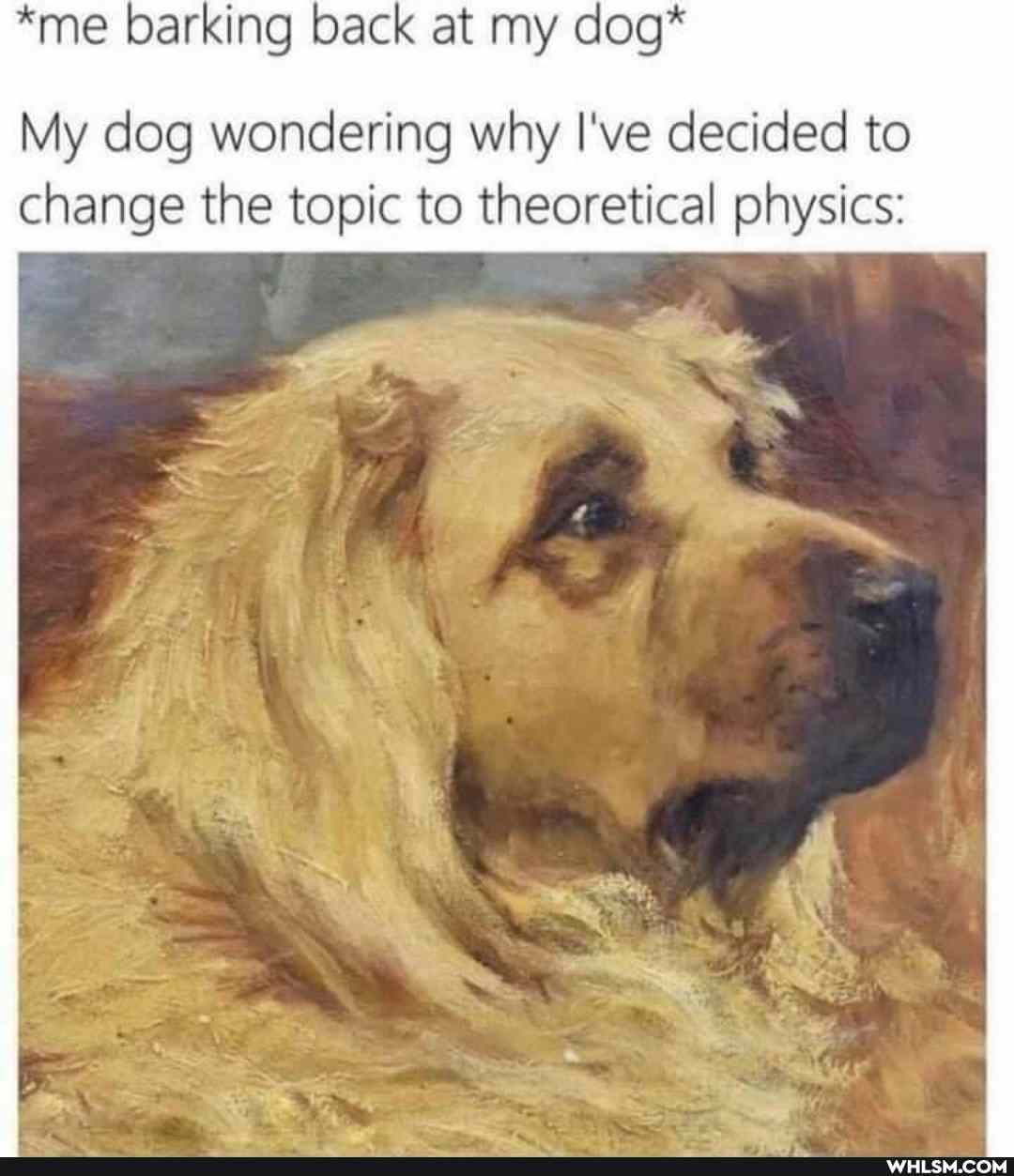 *me barking back at my dog*
My dog wondering why I've decided to
change the topic to theoretical physics: