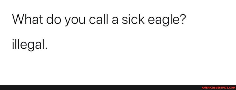 What do you call a sick eagle?
illegal.