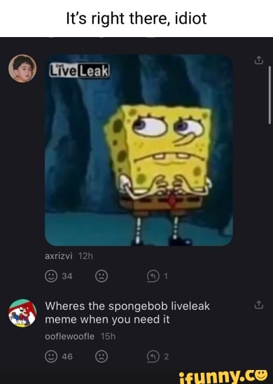 It's it there, idiot @ (Leak! Wheres the spongebob liveleak meme when ...