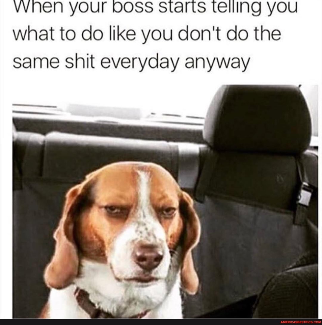 vvnen your DOSS Starts telling you what to do like you don't do the same shit everyday anyway