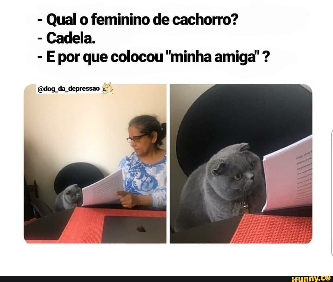 Qual o feminino de cachorro? Cadela. E por que colocou Qual o feminino de cachorro? Cadela. E por que colocou