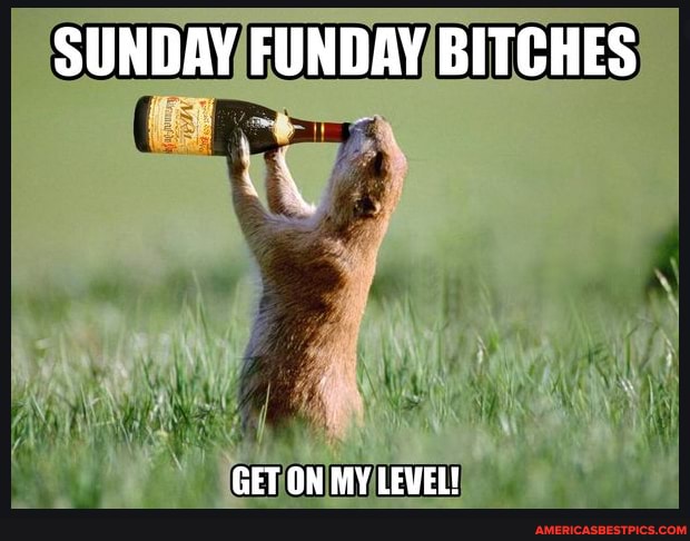 SUNDAY FUNDAY BITCHES
GET ON LEVEL!