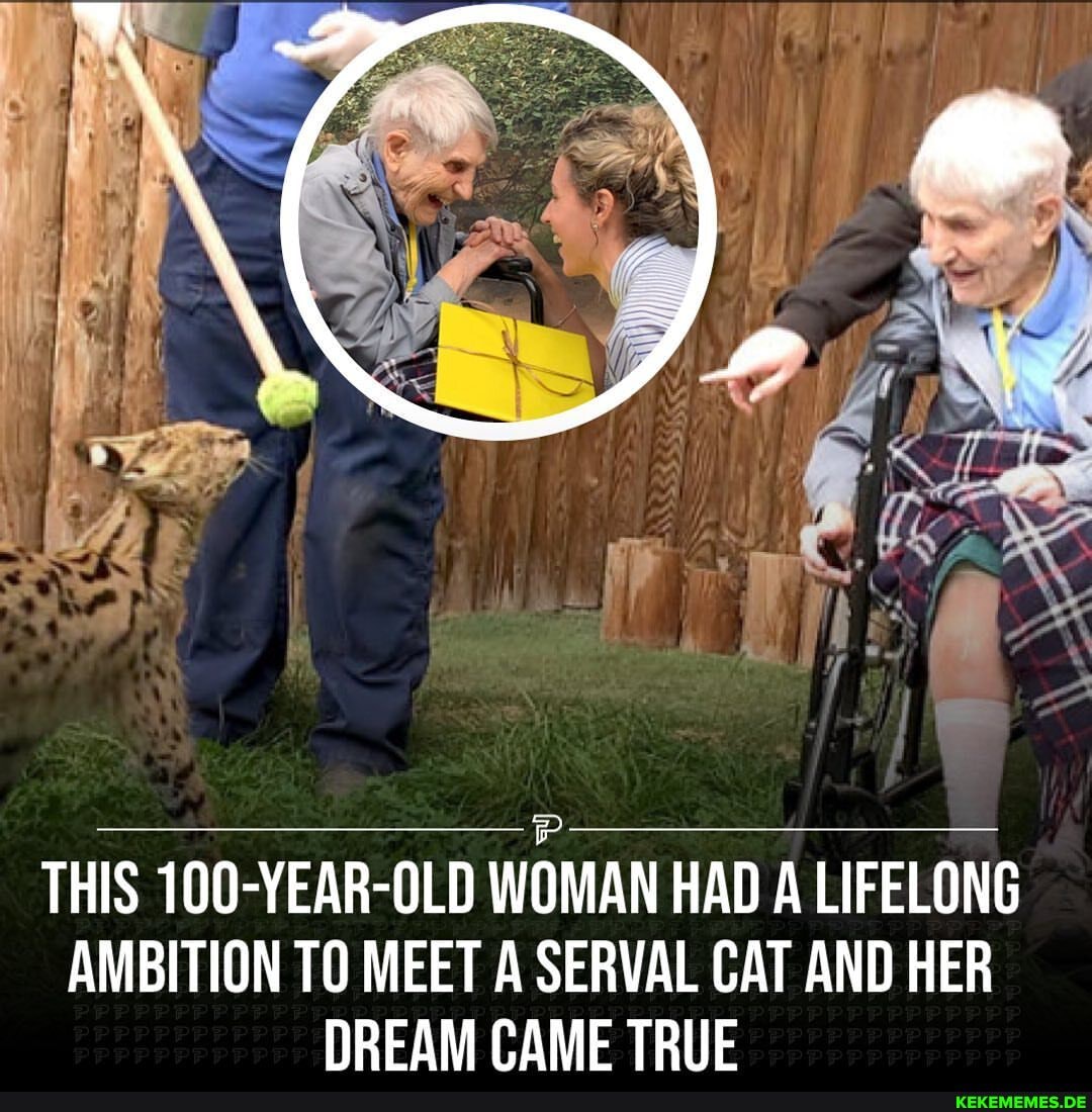 THIS 100-YEAR-OLD WOMAN HAD A LIFELONG AMBITION TO MEET A Se CAT AND HER DREAM G