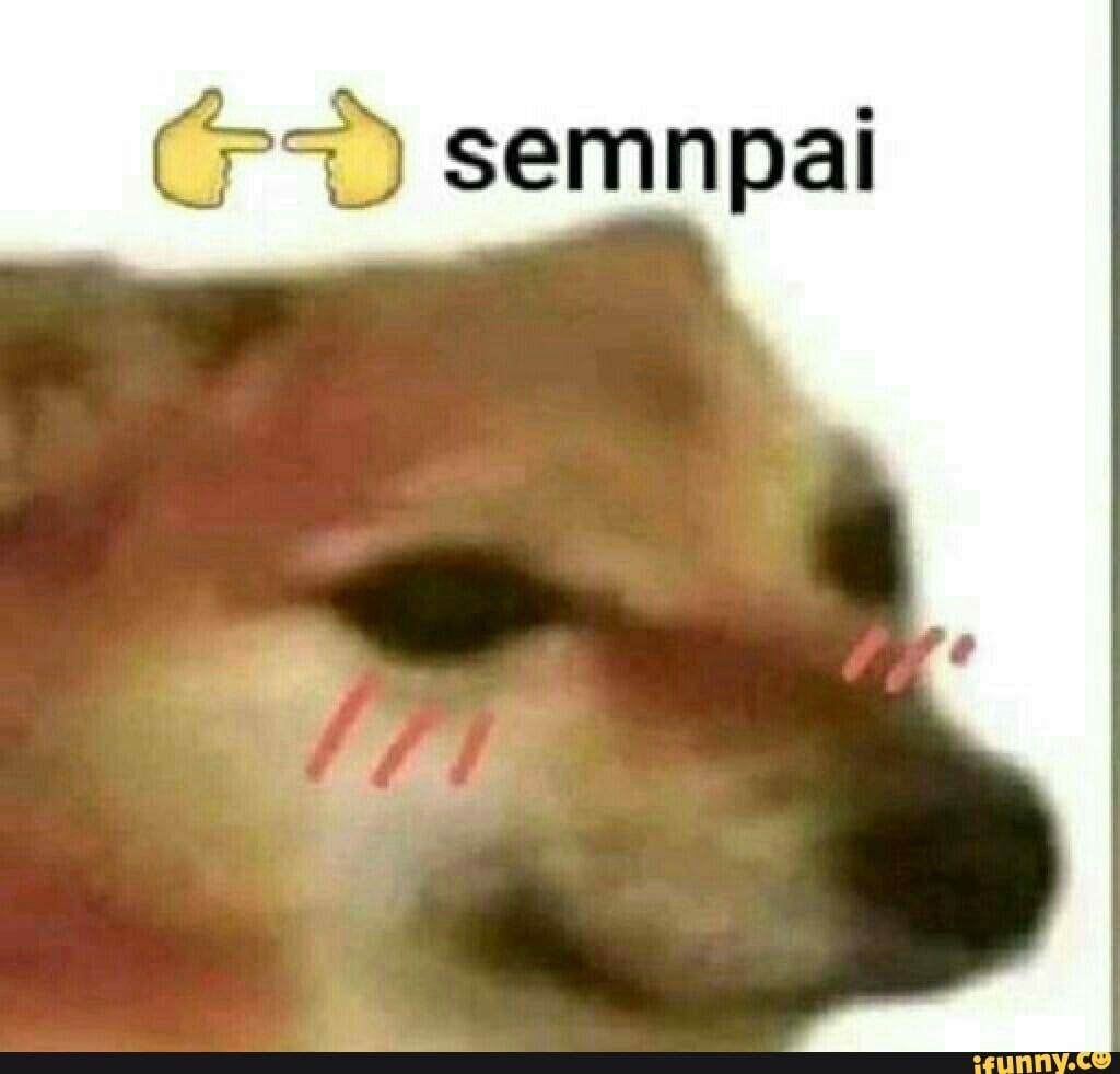 (PSD semnpai