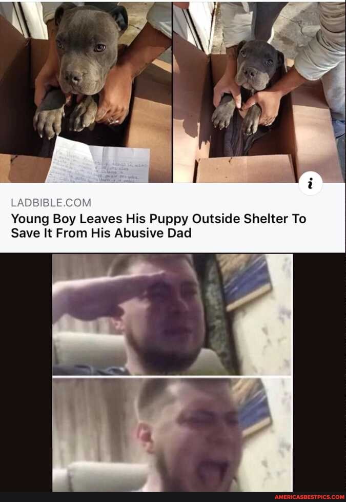 LA COM
Young Boy Leaves His Puppy Outside Shelter To
Save It From His Abusive Dad
