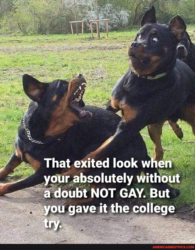 That exited look when your absolutely without a doubt NOT GAY. But you gave it the college try.