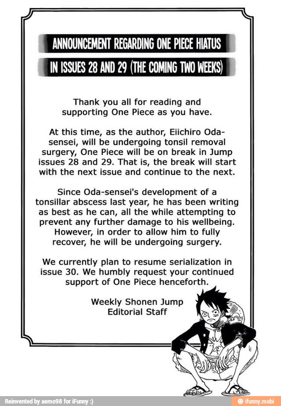 ANNOUNCEMENT REGARDING ONE PIECE HIATUS IN ISSUES 28 AND 29 (THE COMING