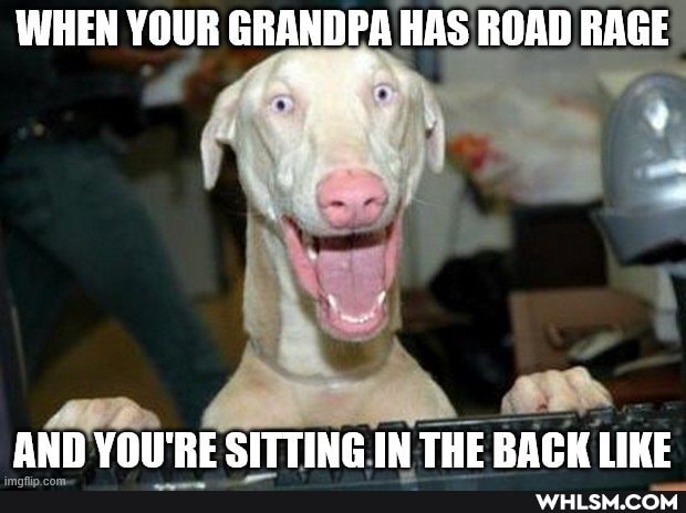 WHEN YOUR GRANDPA HAS ROAD RAGE
AND YOU'RE SITTING IN THE BACK LIKE