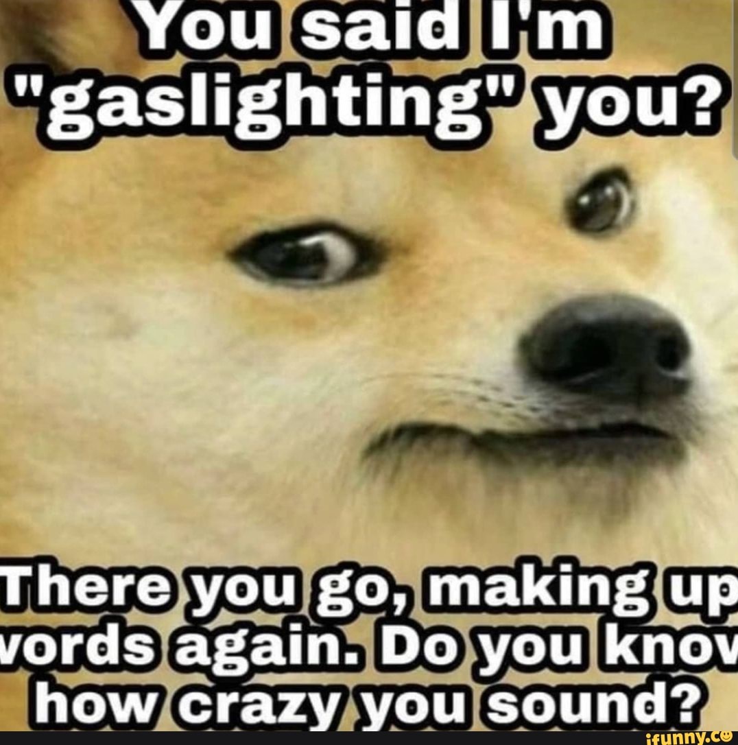 You Said I M Gaslighting You There You Go Making Up Words Again Do You Know How Crazy You Sound You Said I M Gaslighting You There You Making Up Vords Again Do