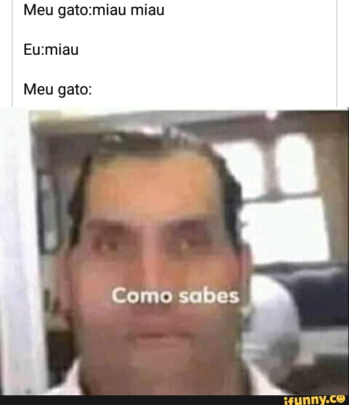 Meu gato:miau miau
Eu:miau
Meu gato:
Y
E
Como sabes