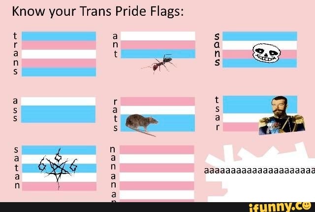 Know Your Trans Pride Flags Aaaaaaaaaaaaaaaaaaaaa Ifunny