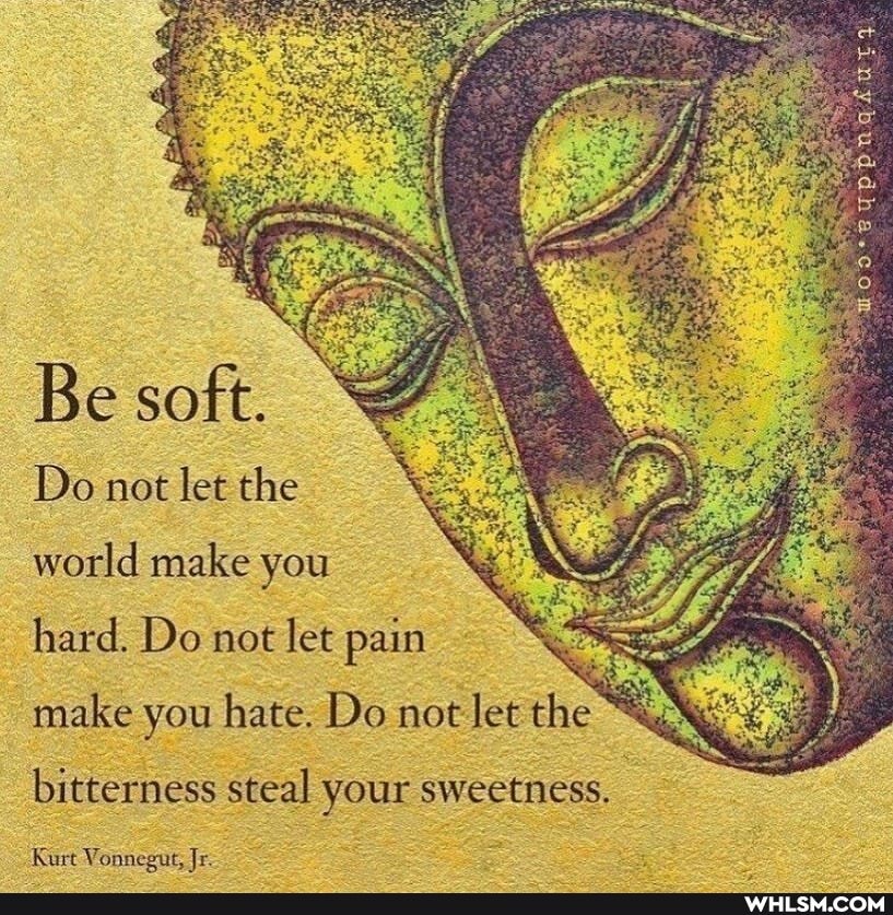 Be soft.
Do not let the
world make you hard. Do not let pain make you hate. Do not let the
bitterness steal your sweetness,
Rurt