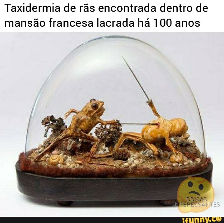 Taxidermia de rãs encontrada dentro de
mansão francesa lacrada há 100 anos
RESSANTES