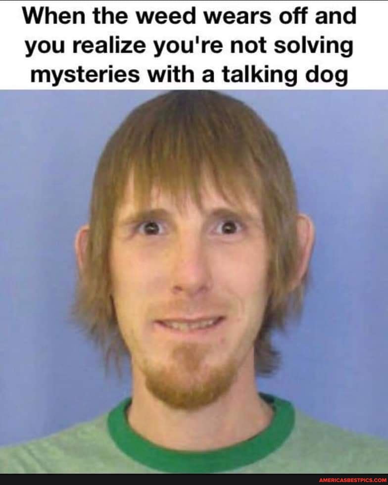 When the weed wears off and you realize you're not solving mysteries with a talking dog