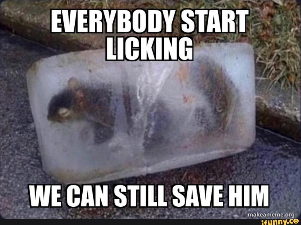 EVERYBODY START LICKING WE CAN STILL SAVE HIM - )