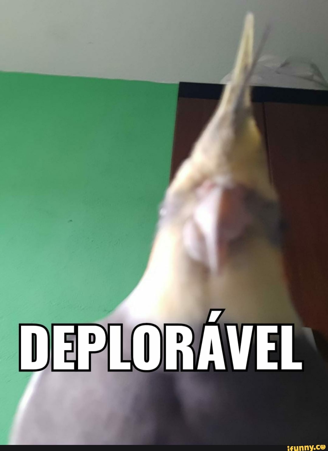 DEPLORÁVEL