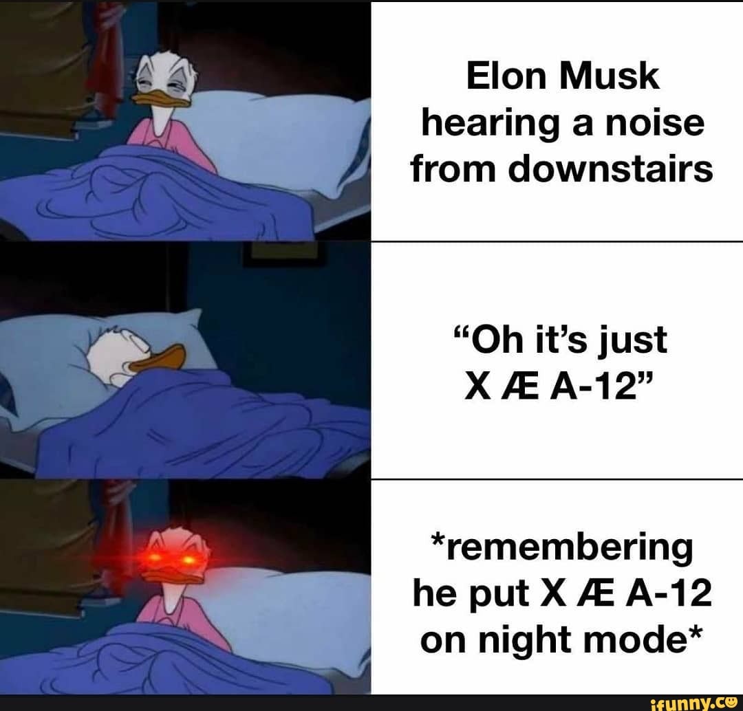 Elon Musk Hearing A Noise From Downstairs Oh It S Just X Ae A 12 Remembering He Put X A 12 On Night Mode Ifunny