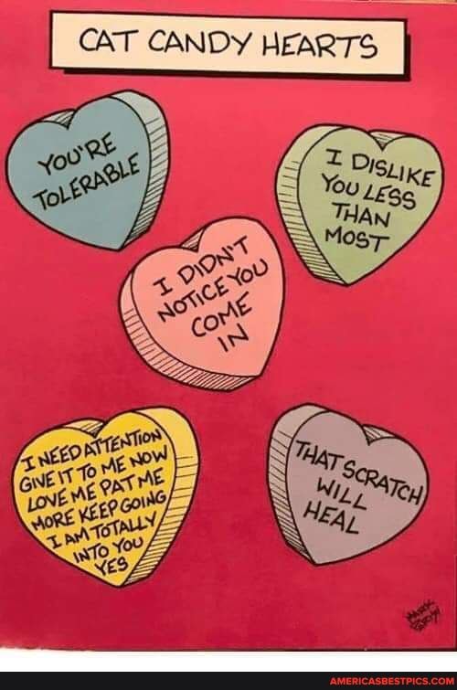 CAT CANDY HEARTS