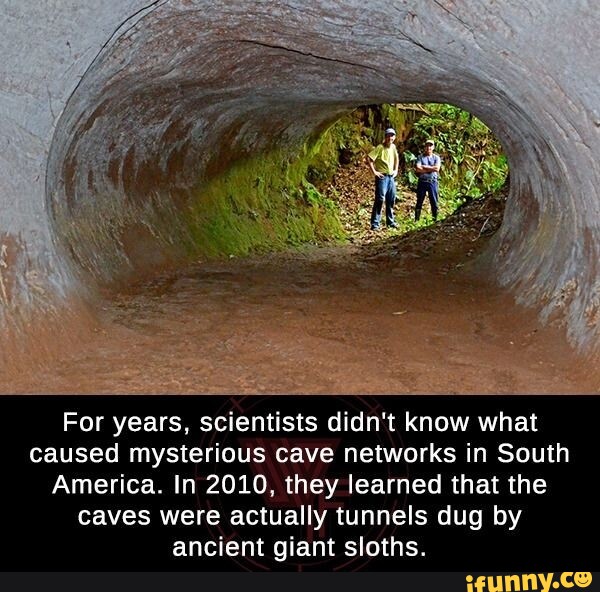 For years, scientists didn't know what caused mysterious cave networks