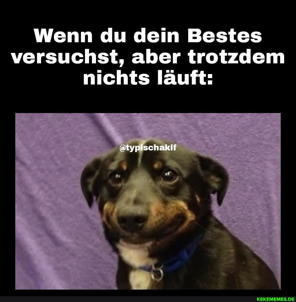 Wenn du dein Bestes versuchst, aber trotzdem nichts läuft:
@typischaklf