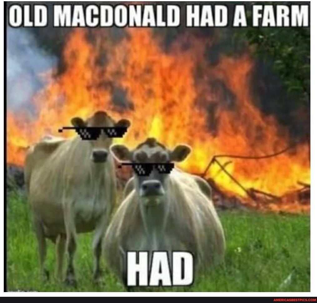 OLD MACDONALD HAD A FARM