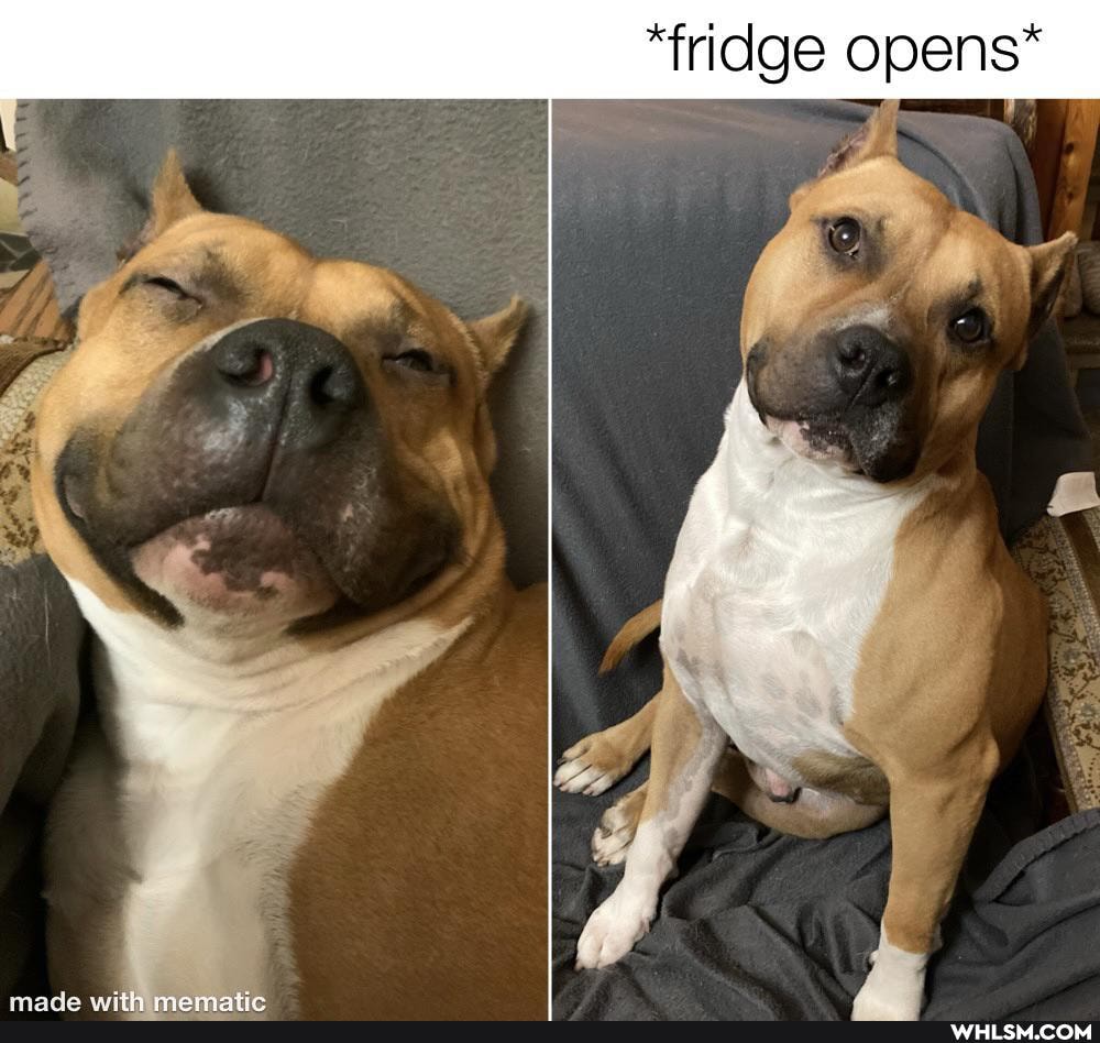 "fridge opens*