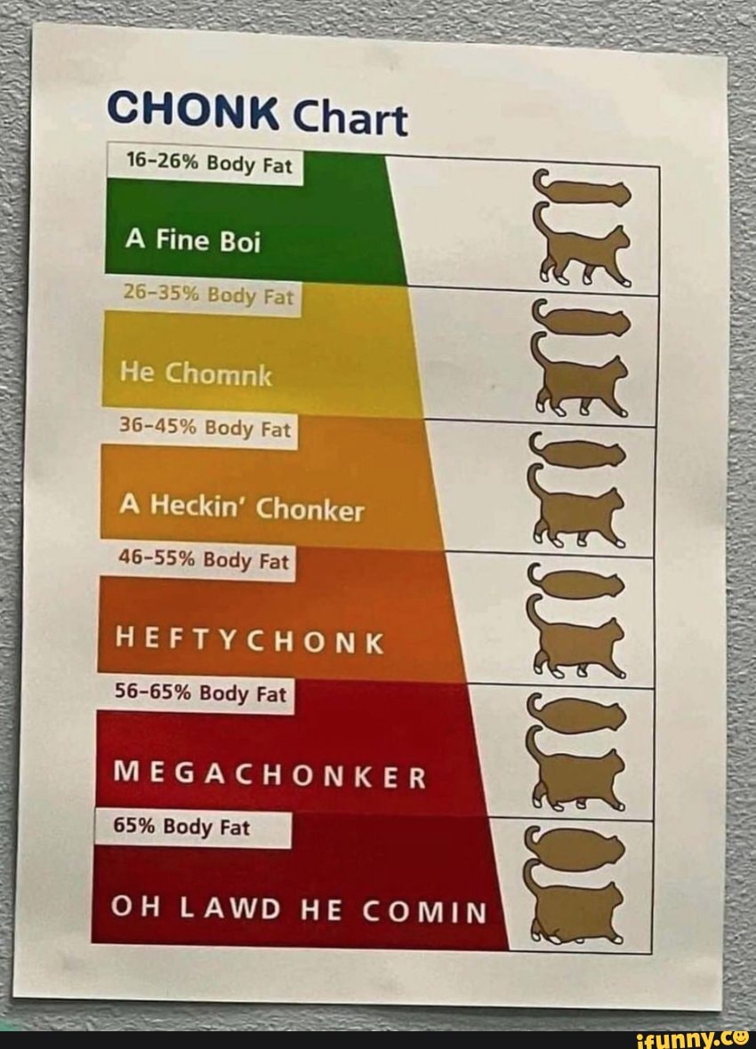 CHONK Chart 1626 Body Fat Fine He Chomnk 3645 Body Fat I A Heckin