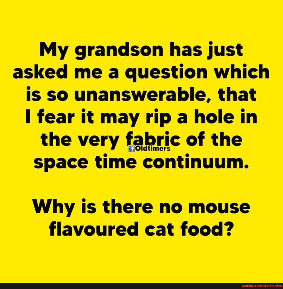 My grandson has just asked me a question which is so unanswerable, that fear it may rip a hole in the very fabric of the space time continuum.
Why is there no mouse flavoured cat food?
