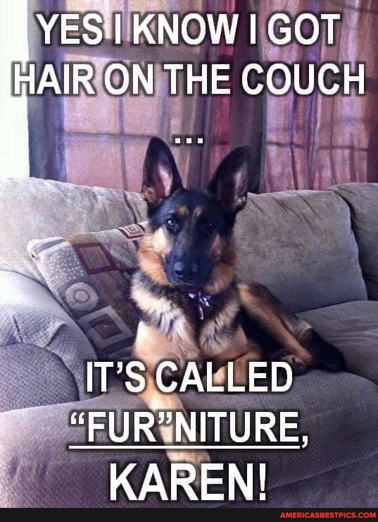 YES KNOW GOT
HAIR ON THE COUCH IT'S CALLED
"FUR" NITURE,
KAREN!